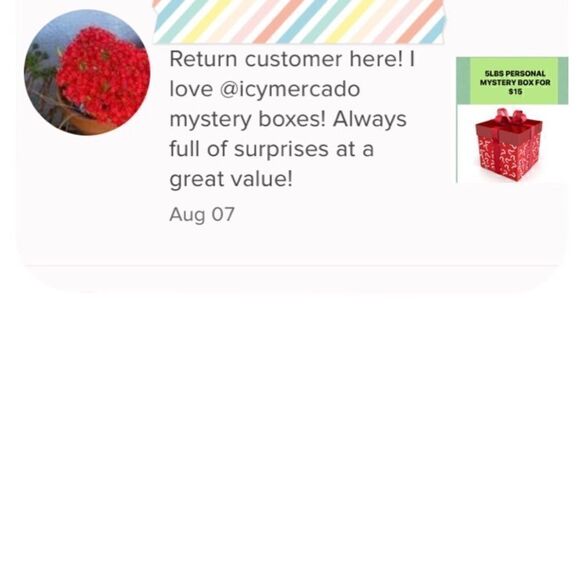 Women’s Mystery Box 5 lbs All Season Assorted Brands Clothing - Picture 8 of 10
